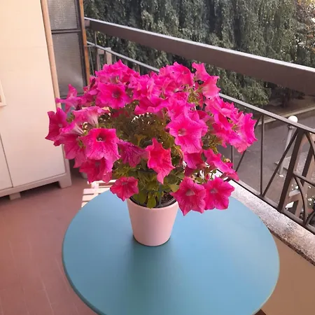Emotion 716 E Sei A Casa! Apartment Milan